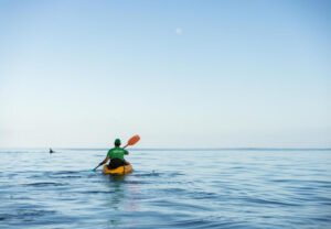 Health and Serenity: The Therapeutic Powers of Nature #2