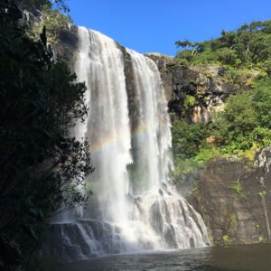 The Tamarind Falls – Into the Jungle
